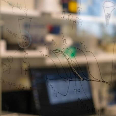 Close up of research related scribbling on whiteboard
