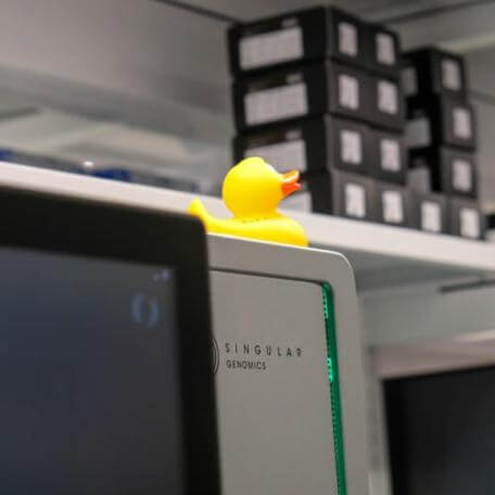 rubber ducky on top of genomics lab equipment