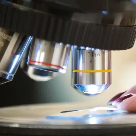 Close up of someone examining a slide on a microscope stage linking to Study Design and Molecular Epidemiology Core