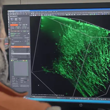 3d image analysis of blood vessel signaling activity linking to Customized Physiology and Imaging Core