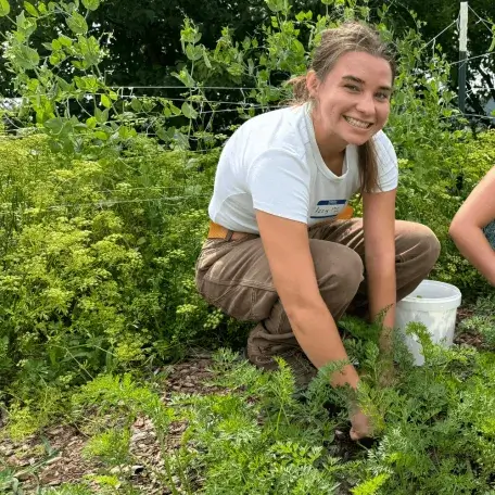 Weeding outdoors in a garden