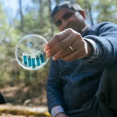 Researcher from UVM's Gund Institute