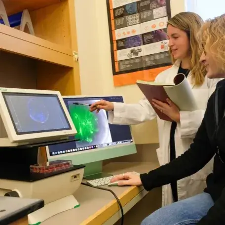 Scientists analyzing data on a computer, links to Center Grants Page