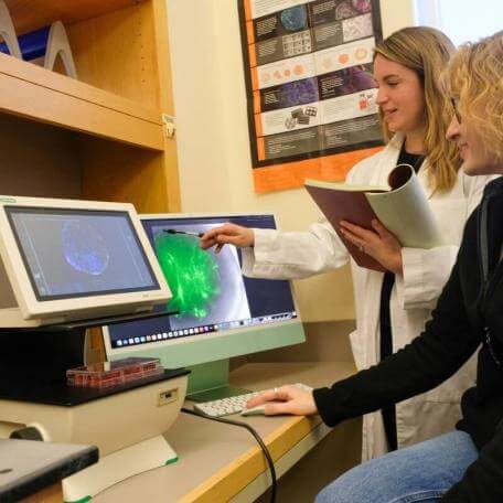 Scientists analyzing data on a computer, links to Center Grants Page