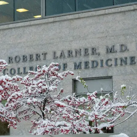 Snow covered tree in front of Larner College of Medicine building