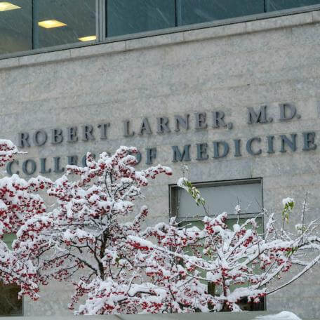 Snow covered tree in front of Larner College of Medicine building