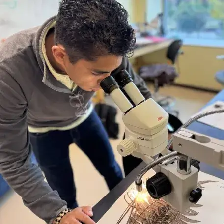 Nico looks through a microscope at a plant specimen