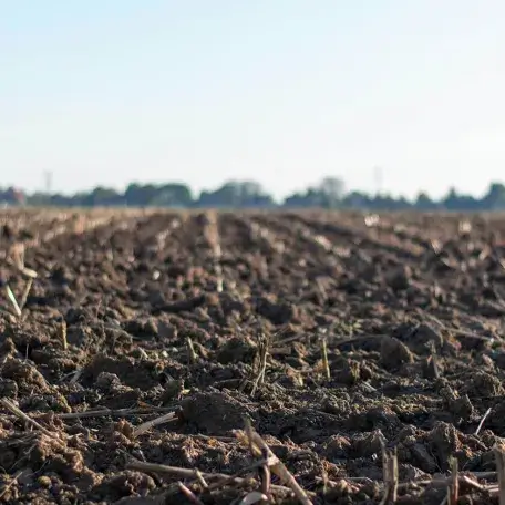 a tilled field