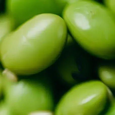 closeup of shelled, raw soy beans