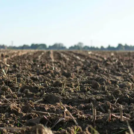 soil