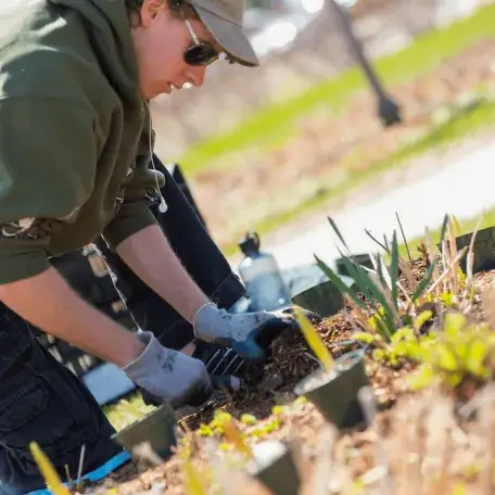 UVM student planting garden bed