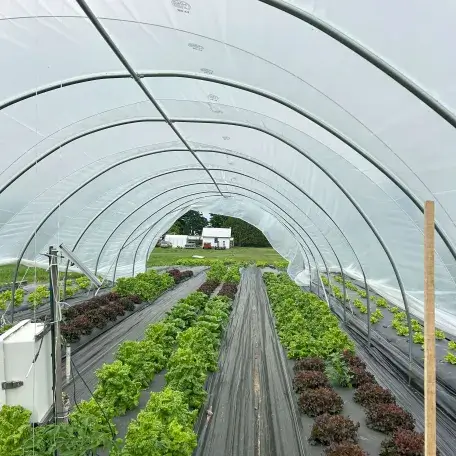 Hoop house