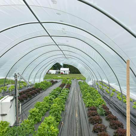 Hoop house