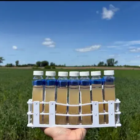 Water samples