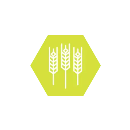 Green hexagon with white wheat stalks