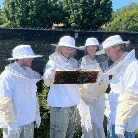 Students looking at beehive frame with honeycomb and bees