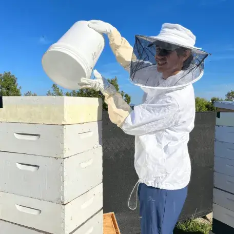 Student beekeeper working with beehives