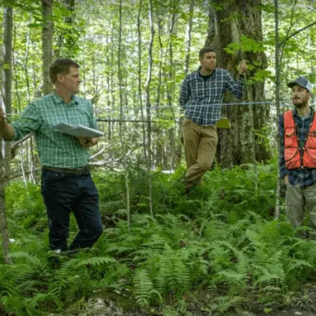 UVM Ext. Maple_cropped