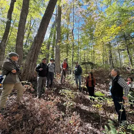 a small group of people in the woods