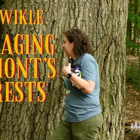 Title on the left and person standing in front of a tree