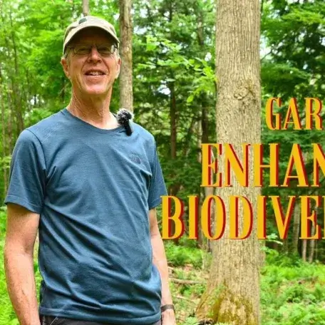 person standing in a forest with a big tree in the background