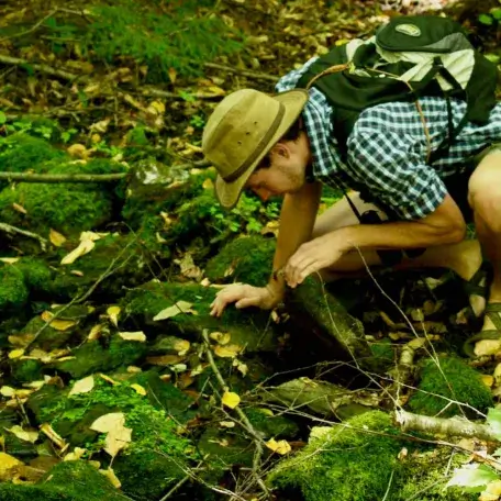 a young man in a brimmed hat peering under mossy rocks in the forest