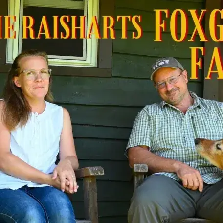 two people sitting on a porch with their dog on the right