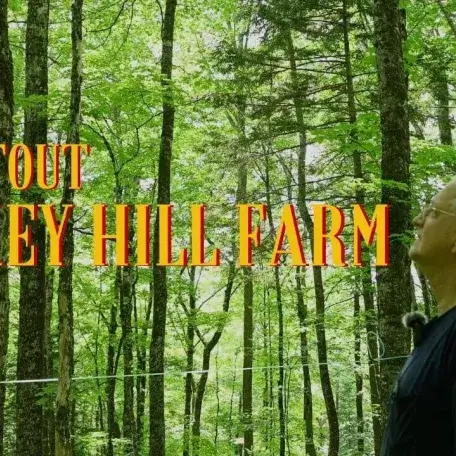 person looking up in a forest