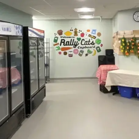 Rally Cat's Cupboard