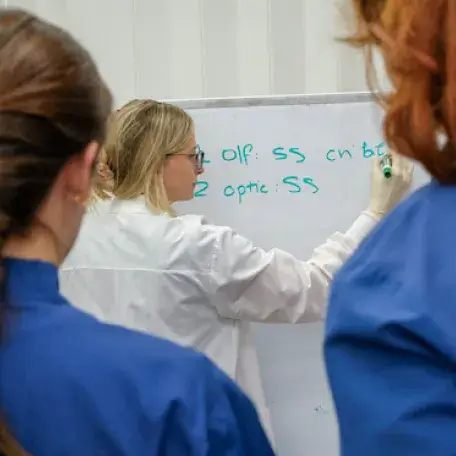 student teaching