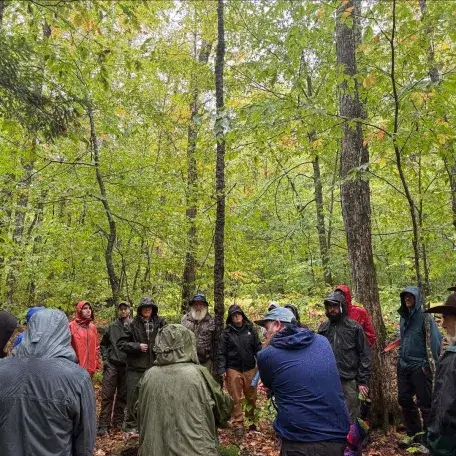 people standing in a forest with rain coats