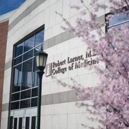 Beautiful depiction of the Robert Larner College of Medicine in the spring with cherry blossom trees blooming. 
