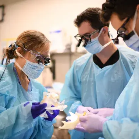 Medical students in blue scrubs, wearing microscopic goggles, observing model of a human jaw. 