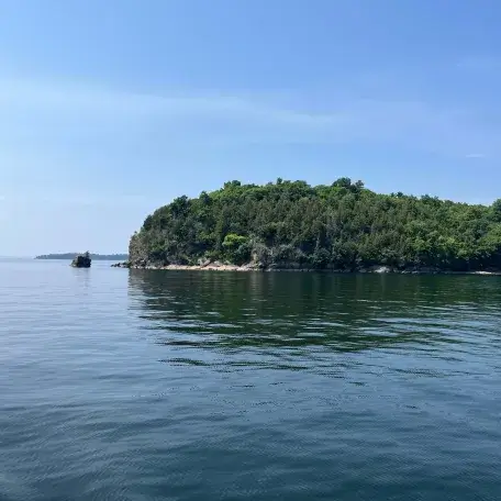 An island with trees in a lake.