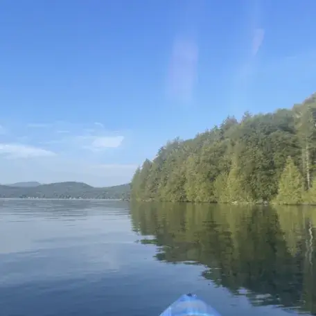 Water and trees