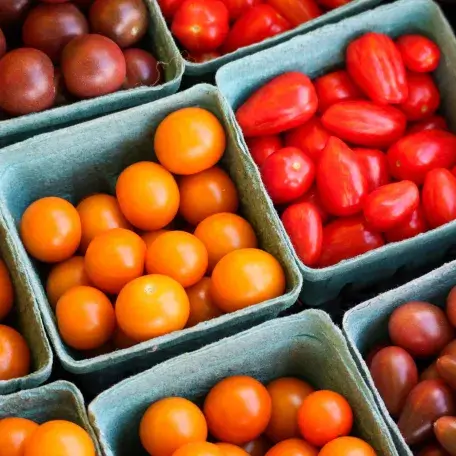 tomatoes