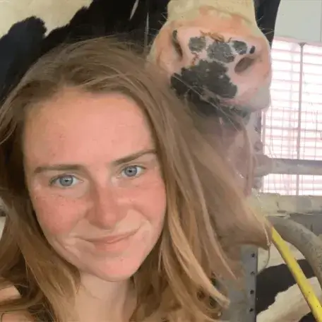 A young woman with a cow