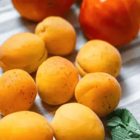 Fruit