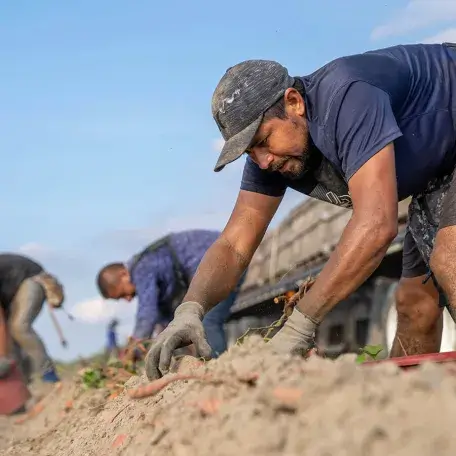 a farmworker crouching and digging in dry soil
