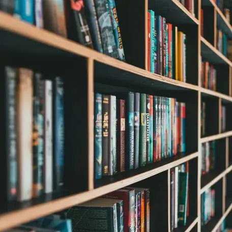 lots of books on shelves
