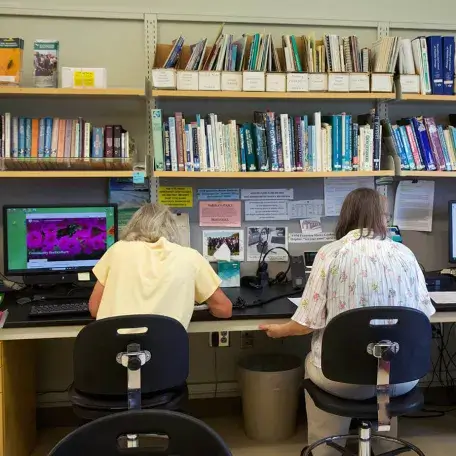 two people with their backs to the camera, sitting at a long desk