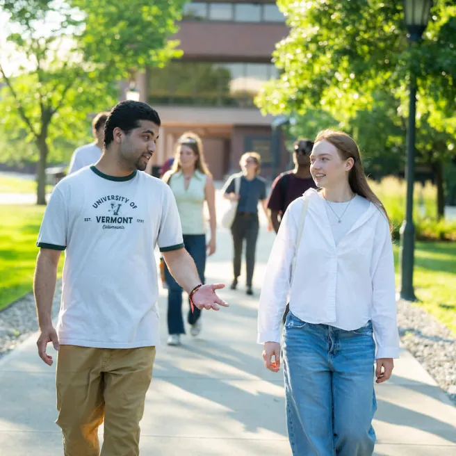 Students walk and talk along a sunny campus pathway.
