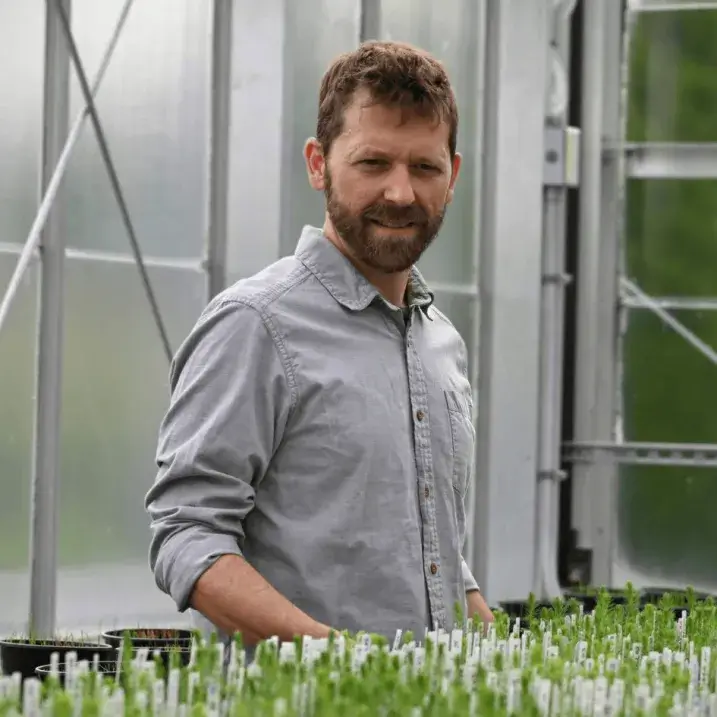Man inspecting greenhouse seedlings