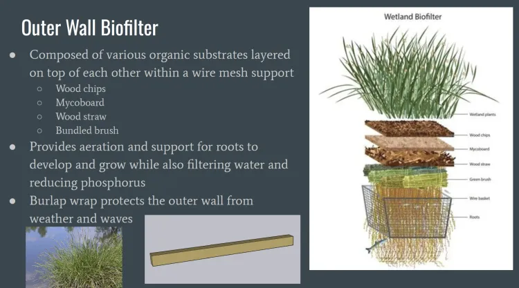 Design plans for plants to be used in the floating wetland