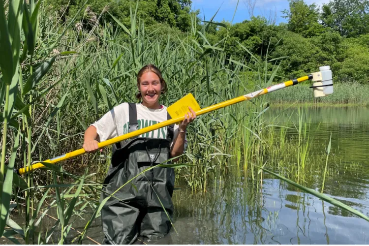 student wearing waders and standing in a marsh amidst tall reeds