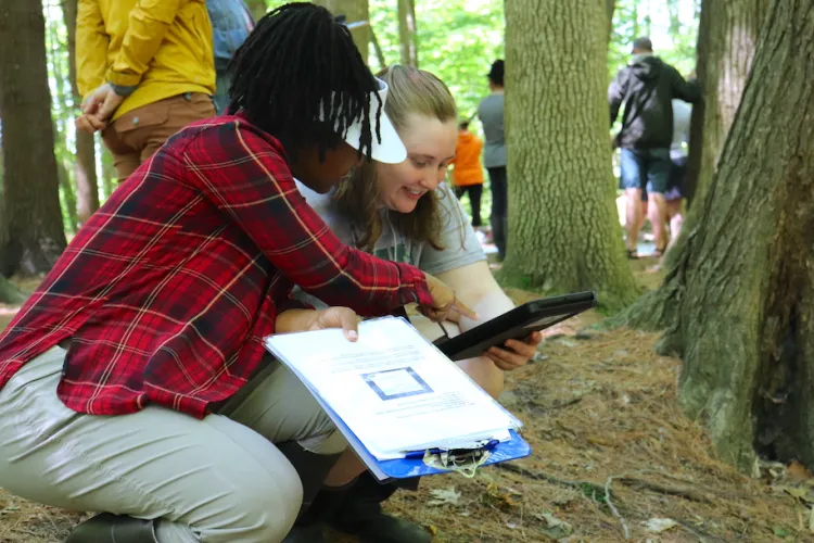 CREST teachers conducting research in the woods near Potash Brook