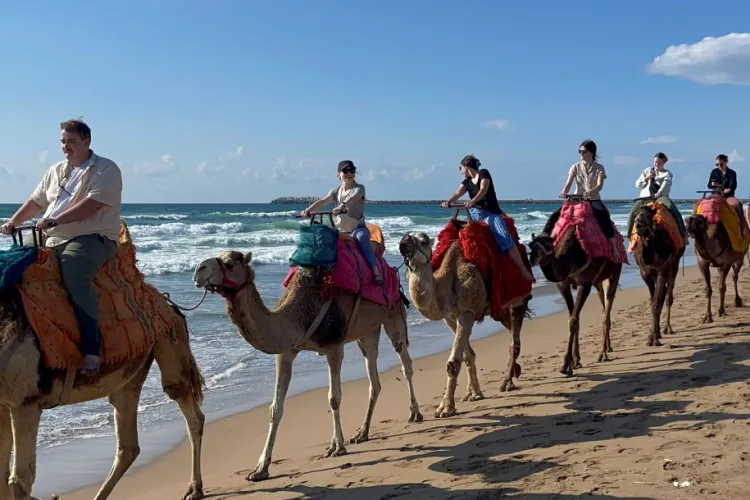 UVM occupational therapy students riding camels on the beach in Morocco