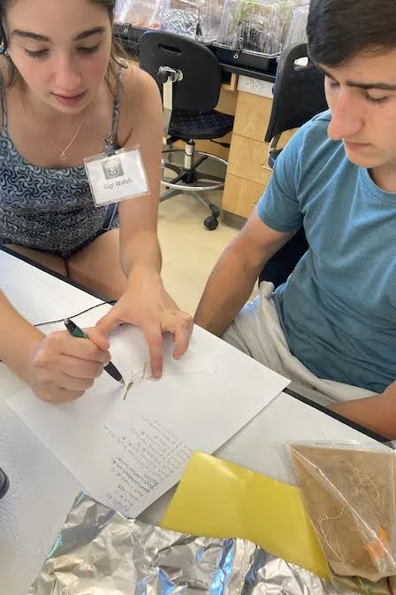 two students seated at a table while one teaches the other about plant roots