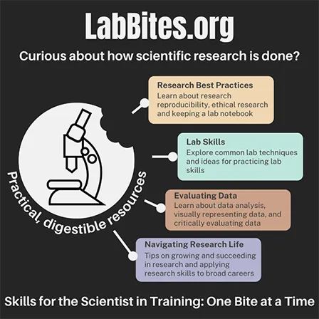 labbites site graphic