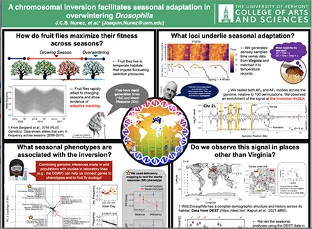 Image of research topics on a poster